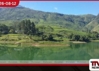 කාසල්රි ජලාශයට මිරිගල් මත්ස්ය පැටවුන් 66000ක් මුදාහරියි