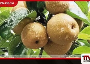 අස්වැන්න 50%කින් අඩුයි…