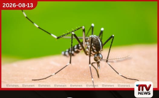 ශ්රී ලංකාවේ ඩෙංගු මරණ සංඛ්යාව 68 දක්වා ඉහළට…