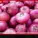 ලොකු ලූණු අවශ්යතාවෙන් 50%ක් ලංකාවේම නිෂ්පාදනයට සැලසුම්!