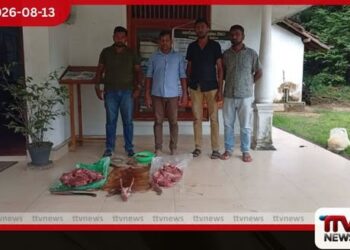 දැඩිලෙස ආරක්ෂිත ඕලු මුවෙකු මස් කරමින් සිටි සැකකරුවන් දෙදෙනෙක් වනජීවී අත්අඩංගුවට