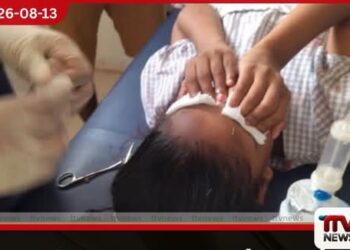 තණකොළ කපන යන්ත්‍රයෙන් විසිවූ දෙයක් වැදී