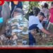 වනසතුන්ගේ ජීවිත බේරා ගැනීමට ත්රිවිධ හමුදා පශු වෛද්යවරුන් සේවයට කැඳවයි!