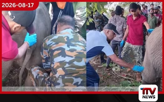 වනසතුන්ගේ ජීවිත බේරා ගැනීමට ත්රිවිධ හමුදා පශු වෛද්යවරුන් සේවයට කැඳවයි!