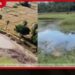 නියඟය හේතුවෙන්  ශ්‍රී ලංකාවේ ප්‍රදේශ රැසකට  පානීය ජල හිඟයක්