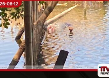 පානදුර හොරේතුඩුව බොල්ගොඩ ගඟේ පාවෙමින් තිබූ මළ සිරුරක් හමුවෙයි