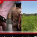 ගංජා හේන අල්ලන්න ගිය පොලිස් නිලධාරීන් හතර දෙනා ලක්ෂ 5ක අල්ලස් අරන් මාට්ටු!