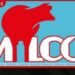 Milco මූල්ය තත්ත්වයේ දැවැන්ත පෙරළියක්…