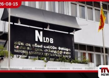 ජාතික පශු සම්පත් මණ්ඩලයෙන් මුල් මාස 6ට රුපියල් මිලියන 300ක දැවැන්ත ශුද්ධ ලාභයක්!