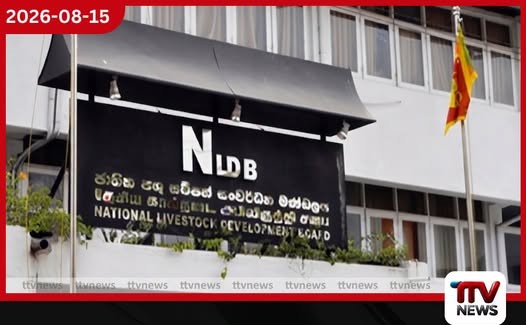 ජාතික පශු සම්පත් මණ්ඩලයෙන් මුල් මාස 6ට රුපියල් මිලියන 300ක දැවැන්ත ශුද්ධ ලාභයක්!