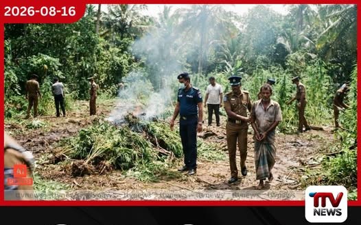 කෝටියකටත් අධික ගංජා සමග පුද්ගලයෙකු හම්බෙගමුවේ දී අත්අඩංගුවට