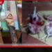 යාලේ නීතිවිරෝධී දඩයම වැටලූ වනජීවී නිලධාරීන්ට අම්බානෙට වෙඩි තියලා..