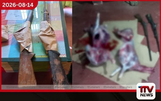 යාලේ නීතිවිරෝධී දඩයම වැටලූ වනජීවී නිලධාරීන්ට අම්බානෙට වෙඩි තියලා..