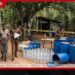 ගෝඩා ලීටර් 1160ක් හා නීති විරෝධී මත්පැන් සමඟ වීරකැටිය කුඹුක්මුල්ලේදී සැකකරුවෙක් මාට්ටු!