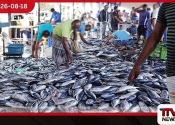 පෑලියගොඩ මධ්‍යම මත්ස්‍ය වෙළෙඳ සංකීර්ණයේ  වෙළෙඳුන්ගෙන් විරෝධතාවක්