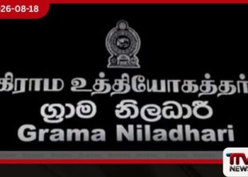 ආපදා තත්ත්වයන්ට මුහුණදීමට ග්රාම නිලධාරී වසම් 1,000ක ප්රජාවට විශේෂ පුහුණුවක්
