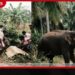 ශ්‍රී ලංකාව සහ ඔස්ට්‍රේලියාව අතර  ආයෝජන සබඳතා ශක්තිමත් කෙරේ
