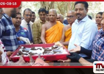අනුරාධපුර අභයගිරි කැනීම්වලින්  රන් ආලේපිත  පැරණි බුද්ධ ප්‍රතිමා 17ක් හමු වේ