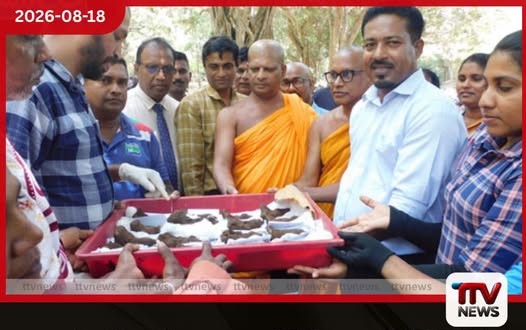 අනුරාධපුර අභයගිරි කැනීම්වලින් රන් ආලේපිත පැරණි බුද්ධ ප්රතිමා 17ක් හමු වේ