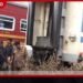මාලිගාවත්තේ නතර කර තිබූ බදුලු තැපැල් දුම්රියේ විදුලි කේබල්, වයර් සහ බැටරි හොරු ගලෝගෙන ගිහින්!