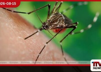 ලංකාවට සුභ ආරංචියක් දෛනික ඩෙංගු රෝගීන් වාර්තා වීම පහළට