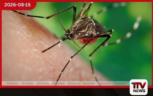 ලංකාවට සුභ ආරංචියක් දෛනික ඩෙංගු රෝගීන් වාර්තා වීම පහළට