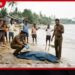 ගාලු මුවදොර වෙරළ තීරයෙන් හඳුනාගත නොහැකි තවත් මළසිරුරක් සොයාගනී!