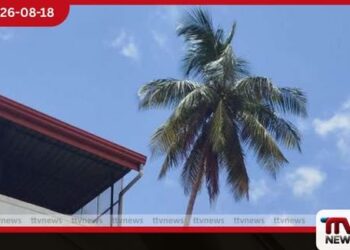 පැමිණිල්ල විභාග කිරීමට ප්රමාද යැයි කියමින් පුද්ගලයෙකු පොල් ගසක් මත නැග විරෝධතාවක