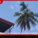 පැමිණිල්ල විභාග කිරීමට  ප්‍රමාද යැයි කියමින්  පුද්ගලයෙකු පොල් ගසක් මත නැග  විරෝධතාවක