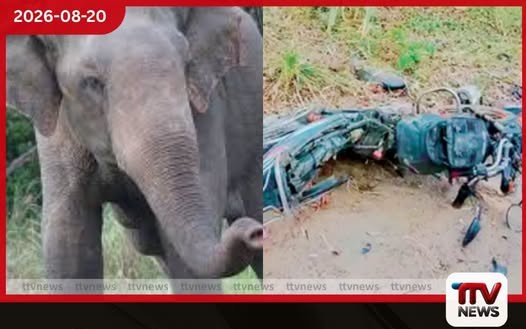 කොටියාගල වන අලි යකා නටමින් තරුණයන් දෙදෙනෙකු පසුපස පන්නා යතුරුපැදි කුඩු පට්ටම් කරලා..