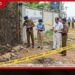 වාද්දුවේ හෝටලයක්  අසල විදුලිසැර වැදී සුනඛයින් 4ක් මරුට