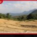 එල් නිනෝ නියඟයෙන් දිස්ත්රික්ක 7ක 81,000කට අධික පිරිසක් පීඩාවට!