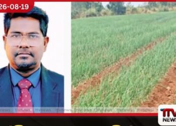 දේශීය ලොකු ලූනු නිෂ්පාදනය 50% දක්වා ඉහළ නැංවීමට කෘෂිකර්ම දෙපාර්තමේන්තුවෙන් පියවර