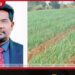 දේශීය ලොකු ලූනු නිෂ්පාදනය  50% දක්වා ඉහළ නැංවීමට  කෘෂිකර්ම දෙපාර්තමේන්තුවෙන්  පියවර