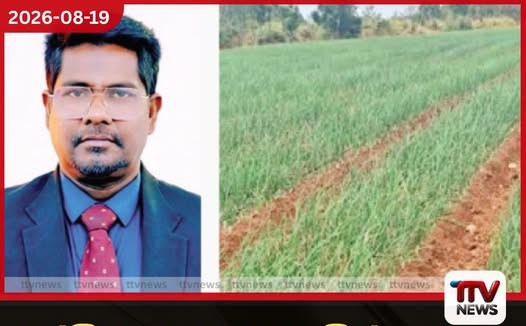 දේශීය ලොකු ලූනු නිෂ්පාදනය 50% දක්වා ඉහළ නැංවීමට කෘෂිකර්ම දෙපාර්තමේන්තුවෙන් පියවර