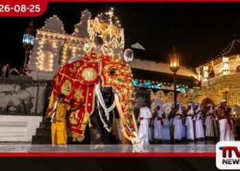 මහනුවර ඇසළ පෙරහැර මංගල්‍යයේ තෙවැනි රන්දෝලි පෙරහැර අද වීථි සංචාරය කරයි