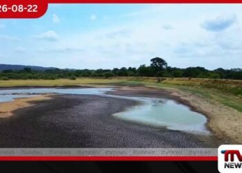 කැලණිය විශ්වවිද්‍යාලයේ නව උපකුලපති ලෙස මහාචාර්ය එන්.ඩී. ප්‍රනාන්දු පත් කෙරේ!