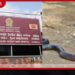 දඹුල්ල රෝහල් භූමියට නාගයෙක් ඇවිත් පැයක මෙහෙයුමකින් පසු ආරක්ෂිතව ඉවත් කරයි!