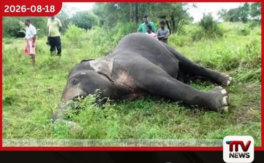 උඩවලවේ ඇතින්නගේ මරණය වෙඩි තබා කළ ඝාතනයක්