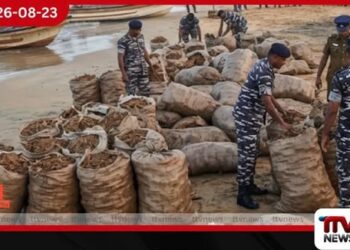 හොරෙන් ගෙනා බීඩි කොළ කිලෝ 2,276ක් මීගමුවේදී අල්ලයි…
