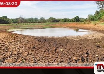 වියළි කාලගුණයෙන් හානි වූ වගාවන් සඳහා හෙක්ටයාරයකට රුපියල් ලක්ෂයක වන්දියක් ගෙවීමට රජයෙන් තීරණයක්