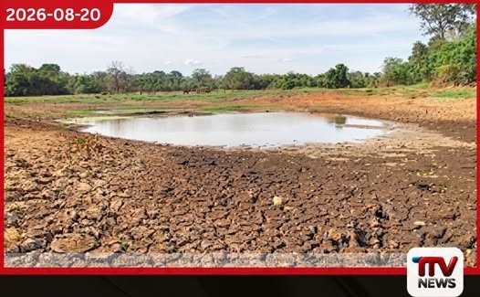 වියළි කාලගුණයෙන් හානි වූ වගාවන් සඳහා හෙක්ටයාරයකට රුපියල් ලක්ෂයක වන්දියක් ගෙවීමට රජයෙන් තීරණයක්