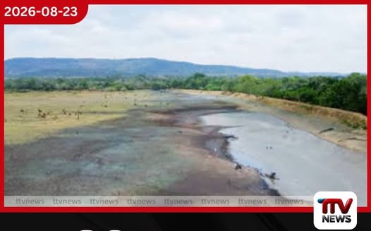 දැඩි වියළි කාලගුණයෙන් විල්ගමුවේ හිබිලියාකඩ වැව සම්පූර්ණයෙන්ම පාහේ සිඳී යයි…