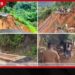නාය ගිය කොත්මලේ–ගම්පොළ මාර්ගයට ලෑලි පාලමක්!