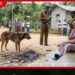 පුත්තලමේ සුරතල් බල්ලා ගෙනා හක්කපටස පුපුරා කාන්තාවන් දෙදෙනෙක් රෝහලේ
