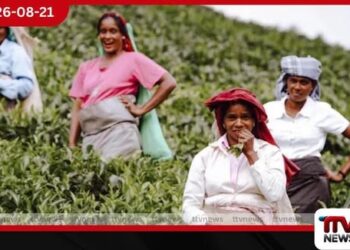 තේ වගාවෙන් ගොවීන් ඉවතට