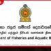 ධීවර ක්ෂේත්‍රය ශක්තිමත් කිරීමට නව නිලධාරීන් 112 දෙනෙකුට හෙට පත්වීම් ලිපි පිරිනැමේ