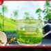 ශ්රී ලංකා තේ කර්මාන්තය නංවාලීම සඳහා GAP සහ GMP සහතිකකරණ ක්රමවේදයක්