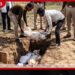 රාත්‍රී ආහාරයට වම්බටු කෑ දැරියන් තිදෙනෙක් පැය කිහිපයකින් මැරිලා!