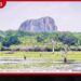 යාලේ ඇත්ගල්පව්වෙන් හෙළිවන දුටුගැමුණු රජුගේ ඉතිහාසය!